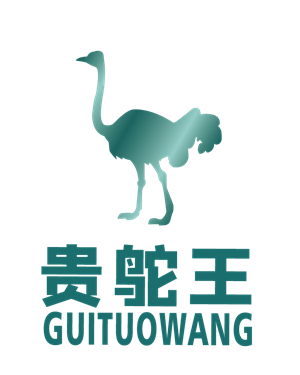 T恤