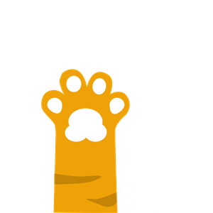 卫衣