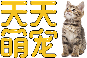 束口袋