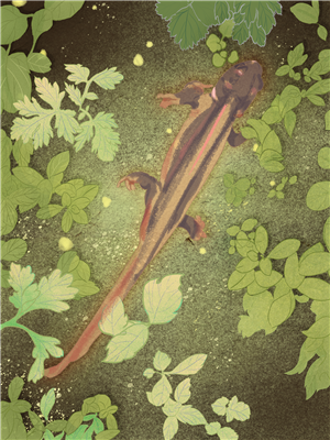 帆布袋