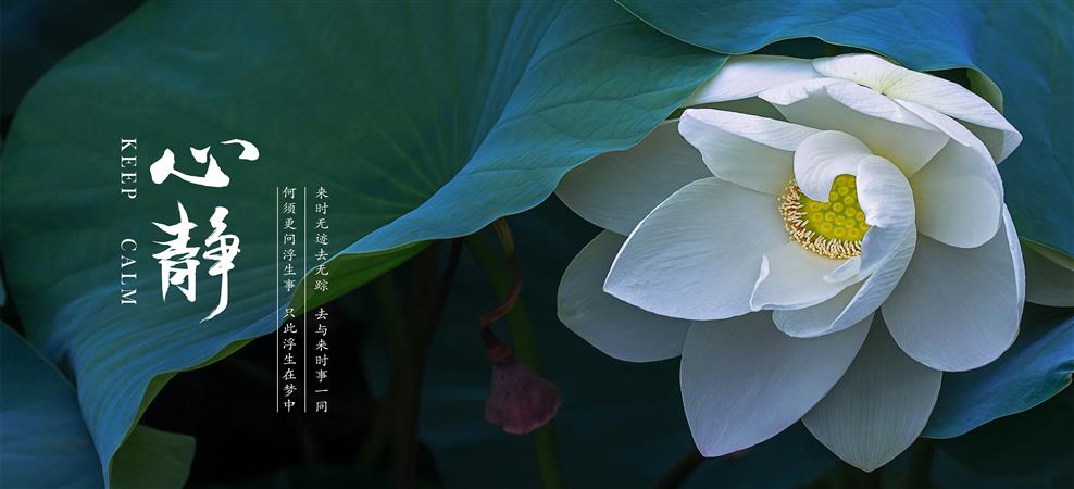 鼠标垫