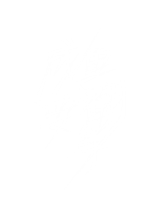 卫衣