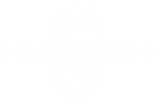 卫衣