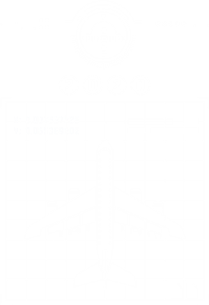 T恤