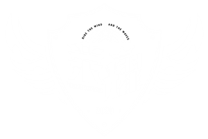 卫衣