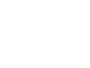 卫衣