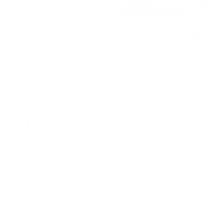 卫衣