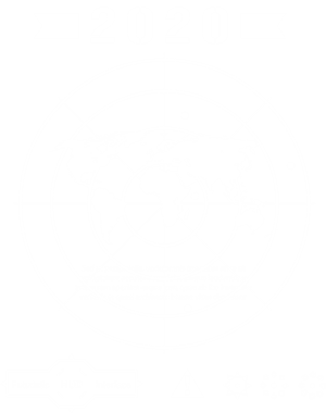 卫衣