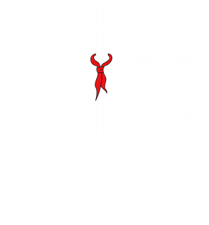 T恤