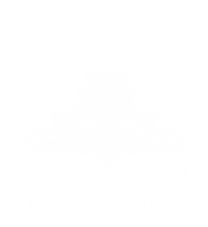 卫衣