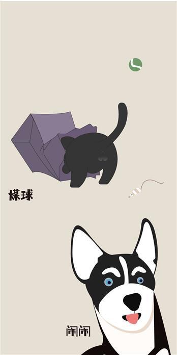 手机壳