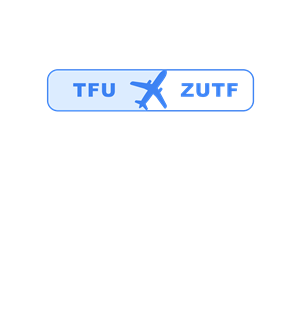 T恤