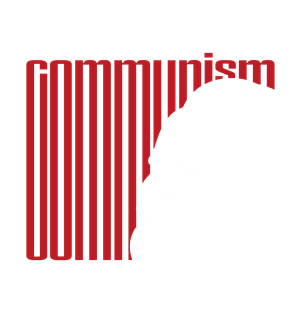 T恤