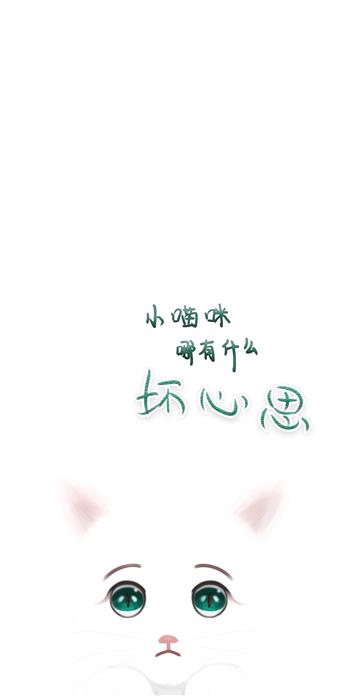 手机壳