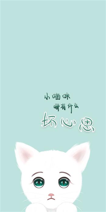 手机壳