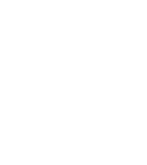 T恤