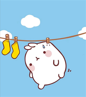 卫衣