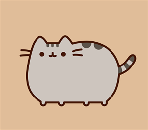 卫衣