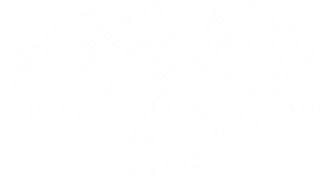 卫衣