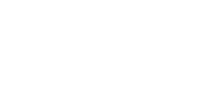 卫衣