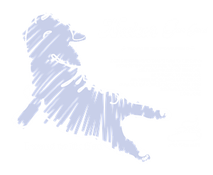 卫衣