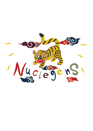 卫衣