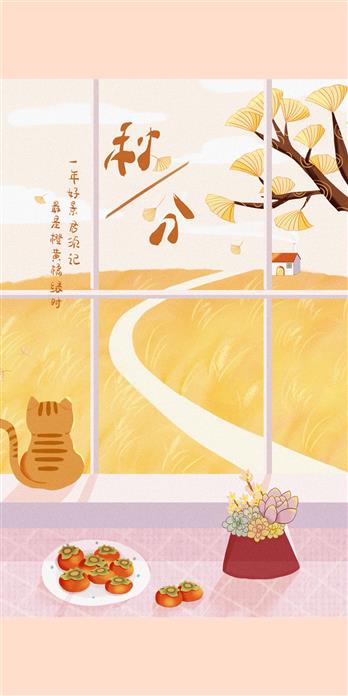 手机壳