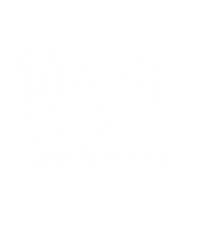 T恤