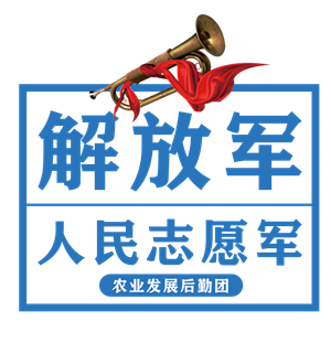 T恤