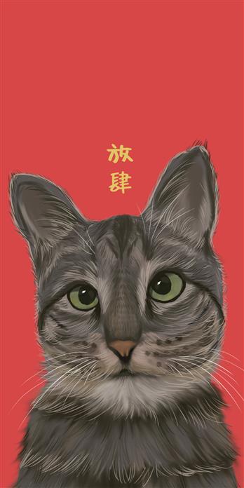 手机壳