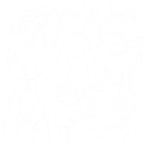 卫衣