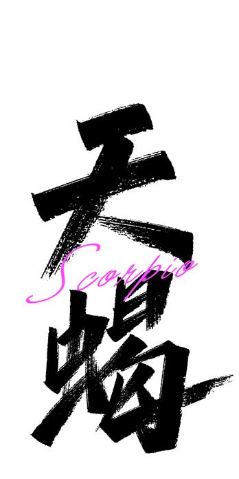 手机壳