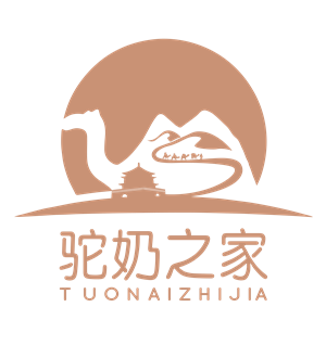 T恤