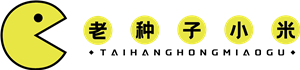 T恤
