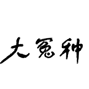 T恤