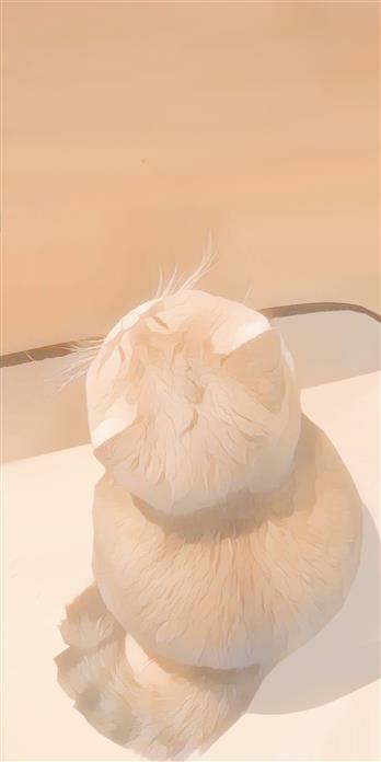 手机壳