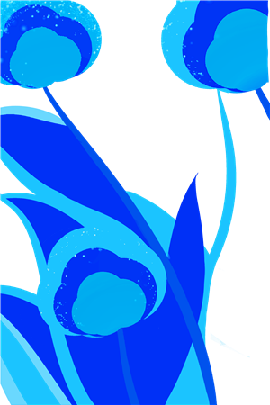 卫衣