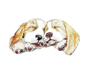 帆布袋