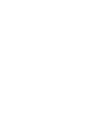 卫衣