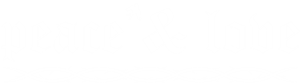 卫衣