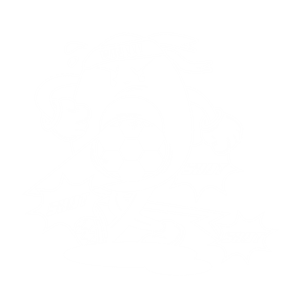 卫衣