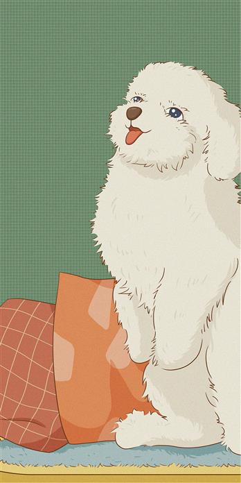 手机壳