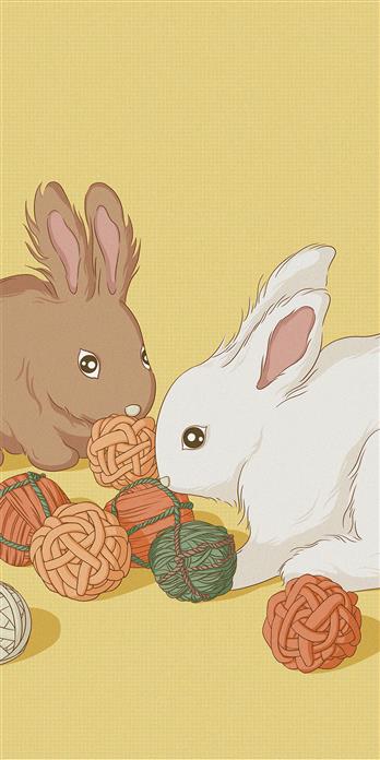 手机壳