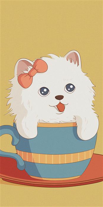 手机壳