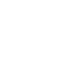 卫衣