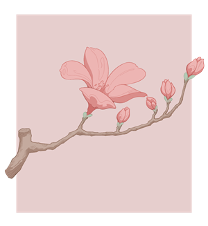 帆布袋