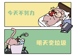 卫衣