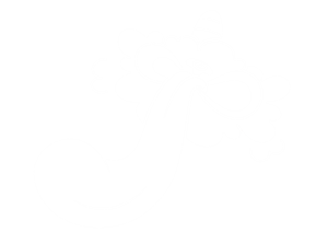 卫衣