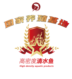 T恤