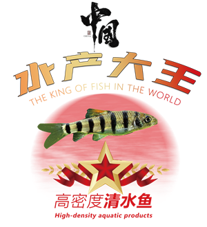 T恤